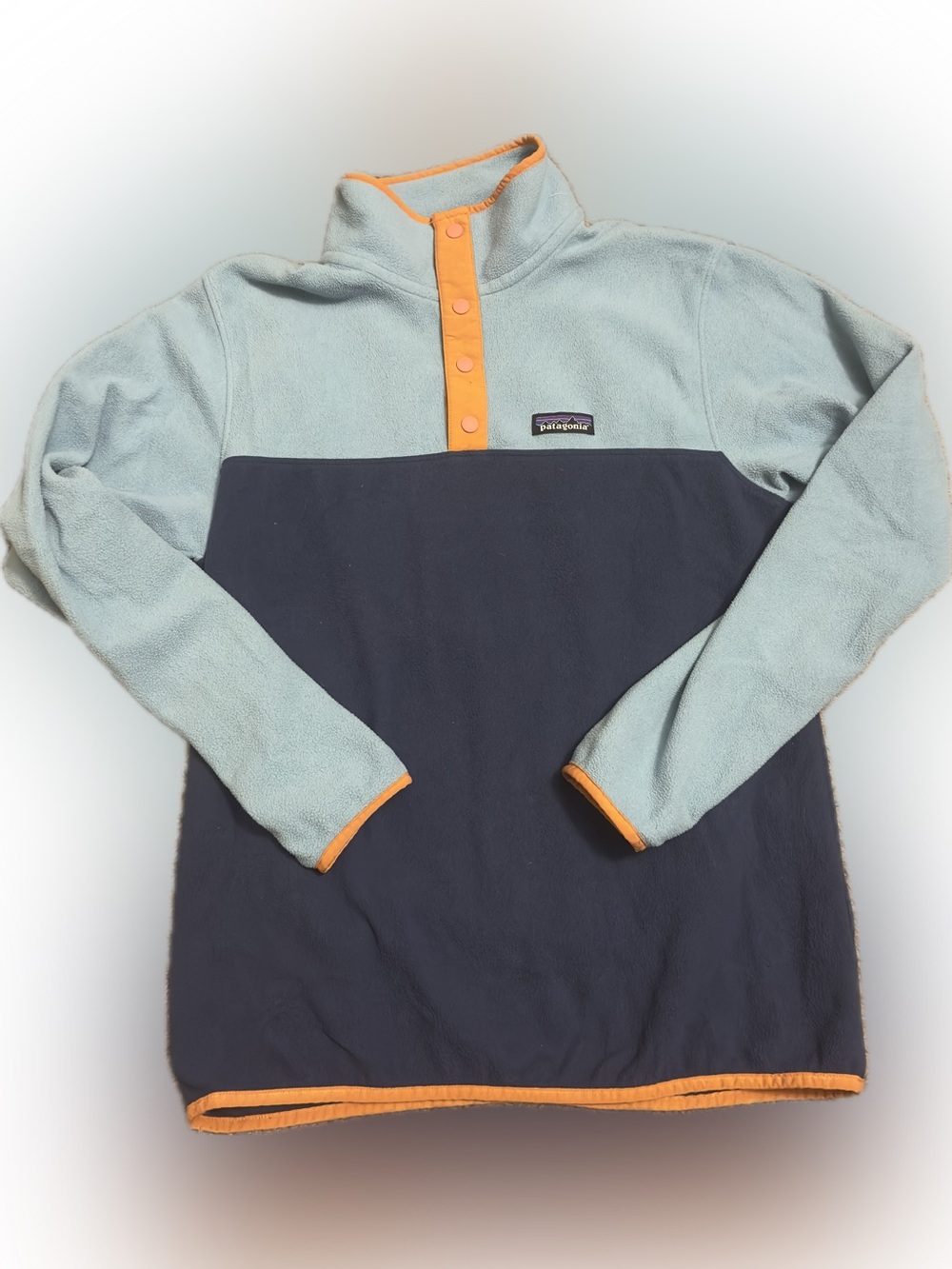 Patagonia Women’s Micro-D Snap Pullover